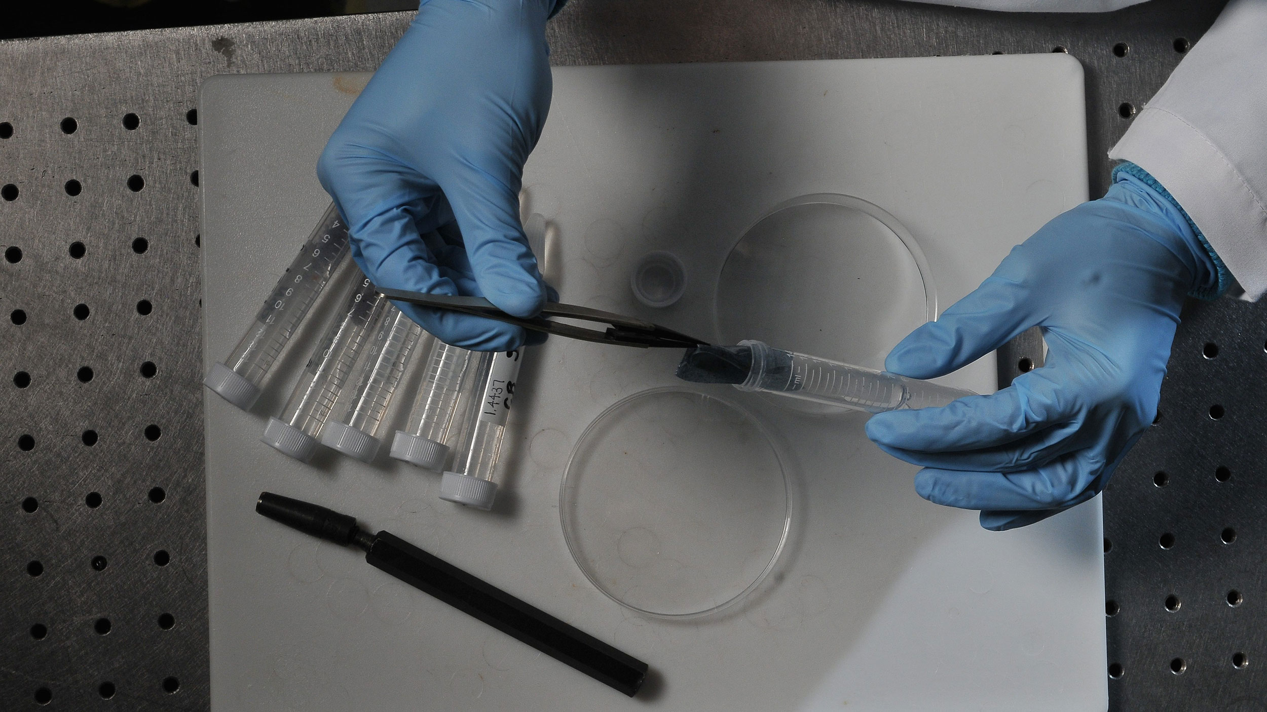 Person in blue gloves handling chemical engineering lab equipment with tweezers on a tray