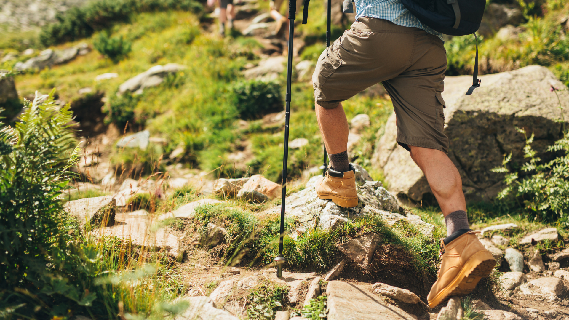 A hiker walks up a trail