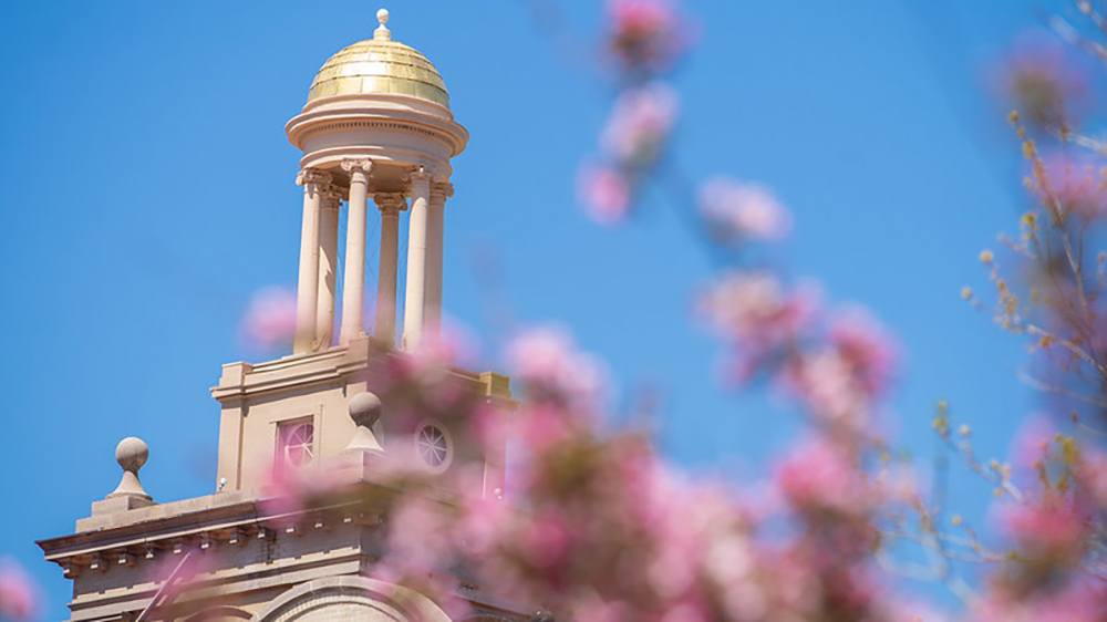 Guggenheim Hall in the Spring